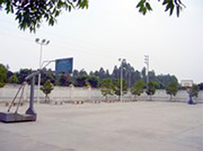 主題公園(圖3)